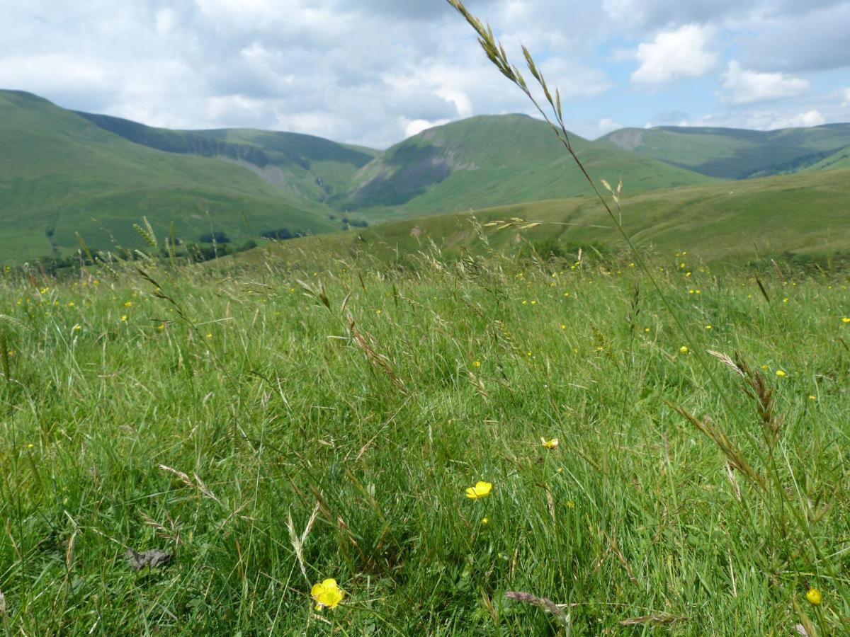 Howgill Cottage セドバーグ エクステリア 写真